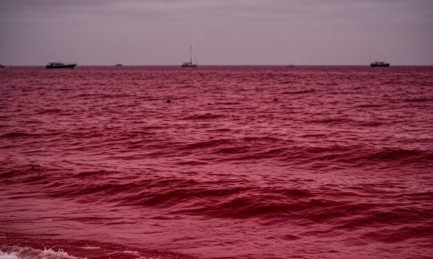Algae bloom turns Biblical sea blood red sparking many to fear it’s an “Omen”