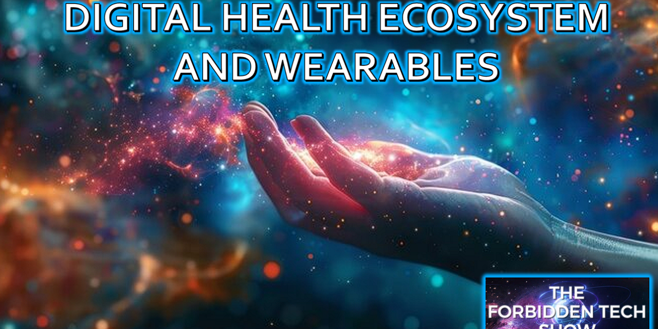 The Rise of the Digital Health Ecosystem. How wearables, data centers and virtual twins are redefining Healthcare 4.0