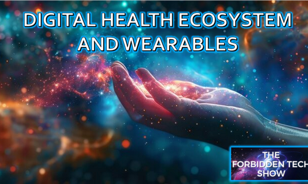 The Rise of the Digital Health Ecosystem. How wearables, data centers and virtual twins are redefining Healthcare 4.0