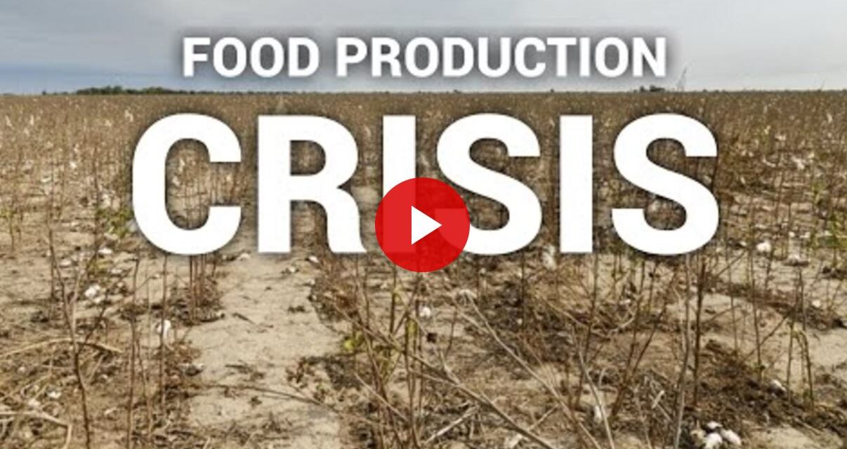 A Farmer’s Warning of the Food Production Crisis
