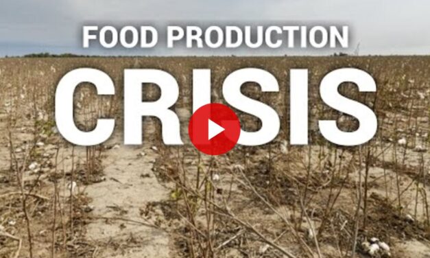 A Farmer’s Warning of the Food Production Crisis