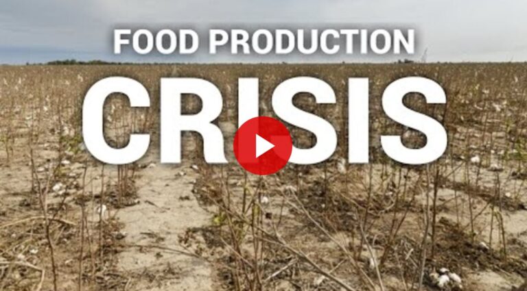 food crisis