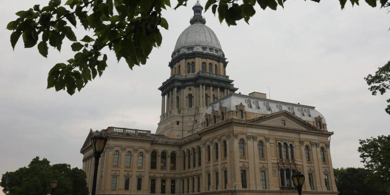 An Illinois bill banning AI therapy has been signed into law