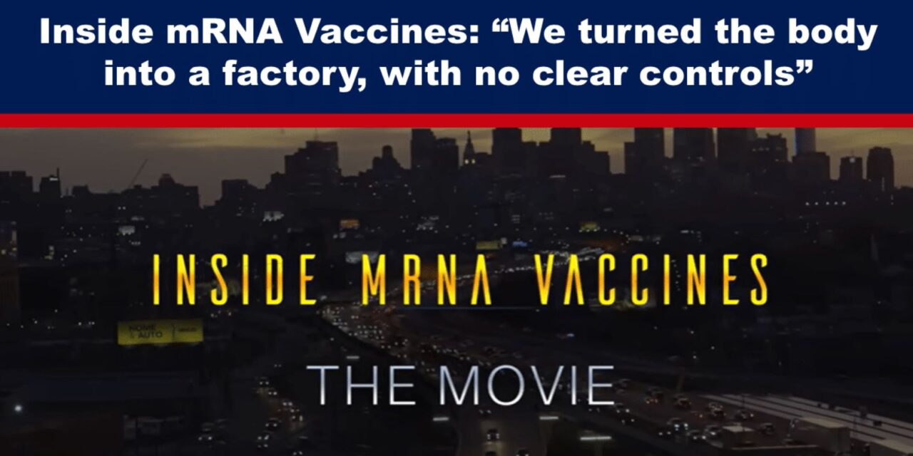 Inside mRNA Vaccines: “We turned the body into a factory, with no clear controls”