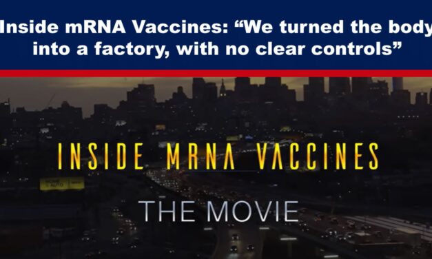 Inside mRNA Vaccines: “We turned the body into a factory, with no clear controls”