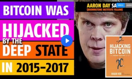 Bitcoin was hijacked by the Deep State in 2015-2017, says Aaron Day