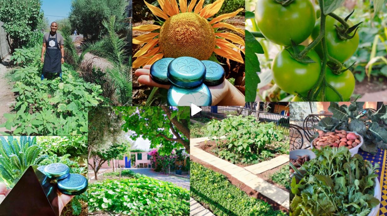 3 Year Timelapse Gardening with Orgone Energy from Fix the World Morocco