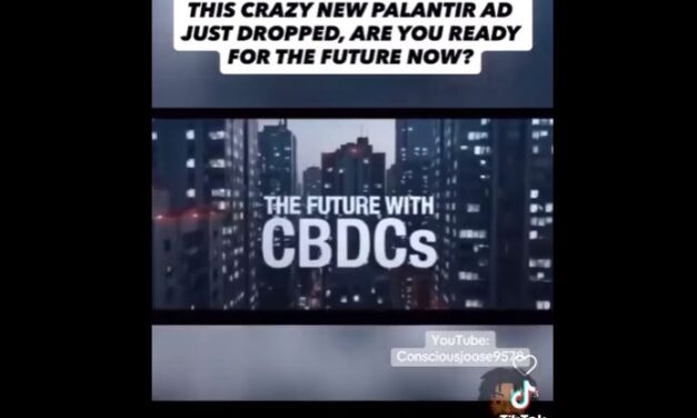 New Palantir ad shows the horrors of digital currency 