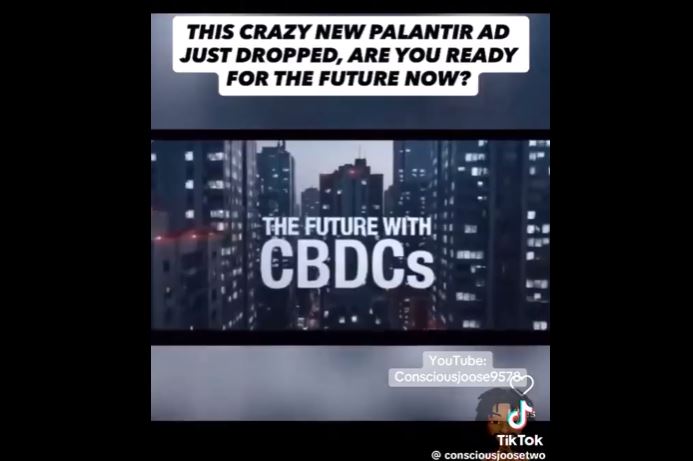 New Palantir ad shows the horrors of digital currency