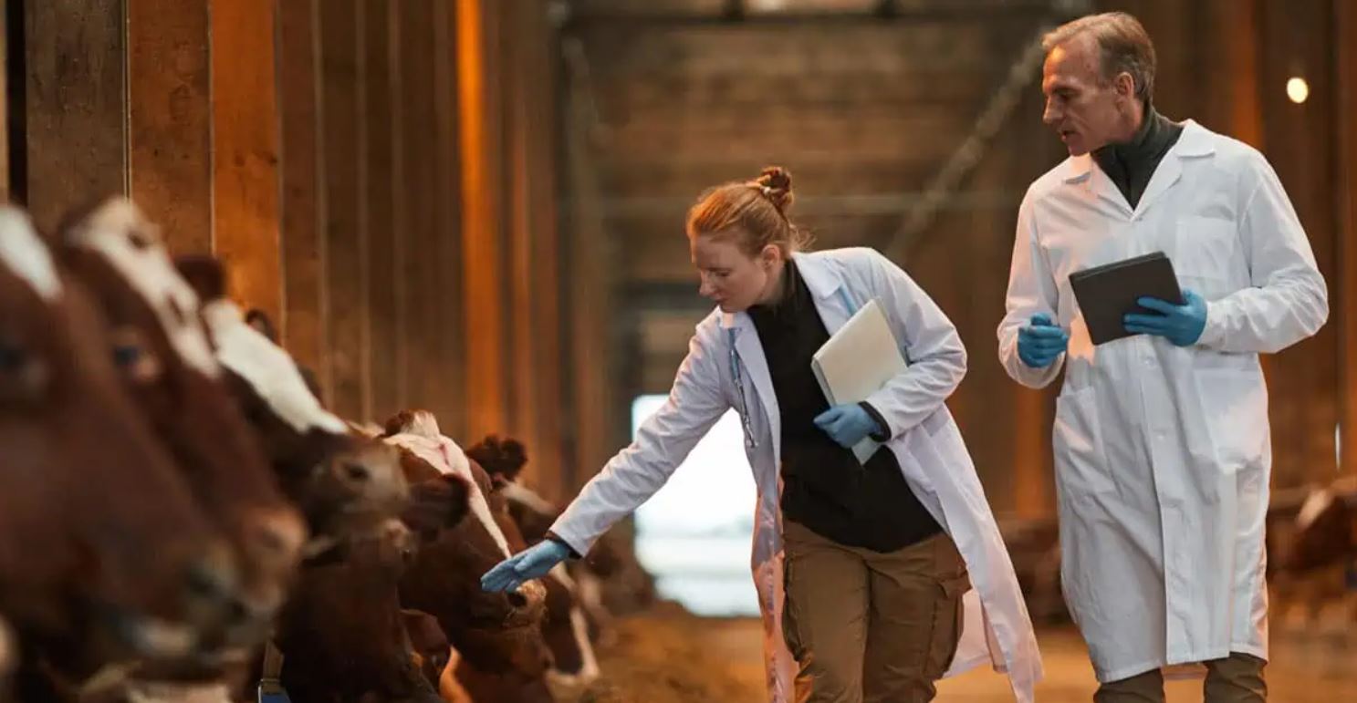 Cloned ‘Meat’ Secretly Flooding American Food Supply Without Labels