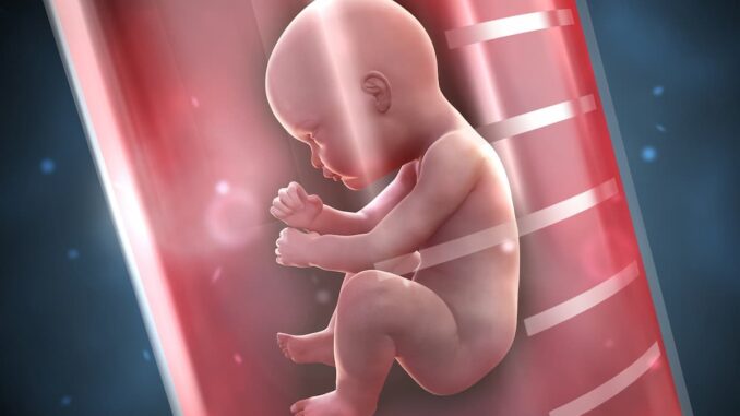 ‘Tech Titans’ Creating Genetically Engineered Baby