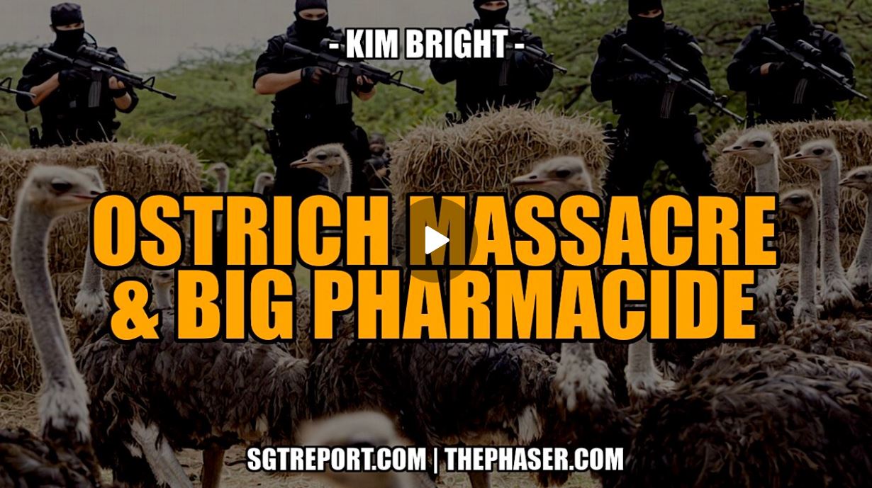 OSTRICH MASSACRE & BIG PHARMACIDE — Kim Bright