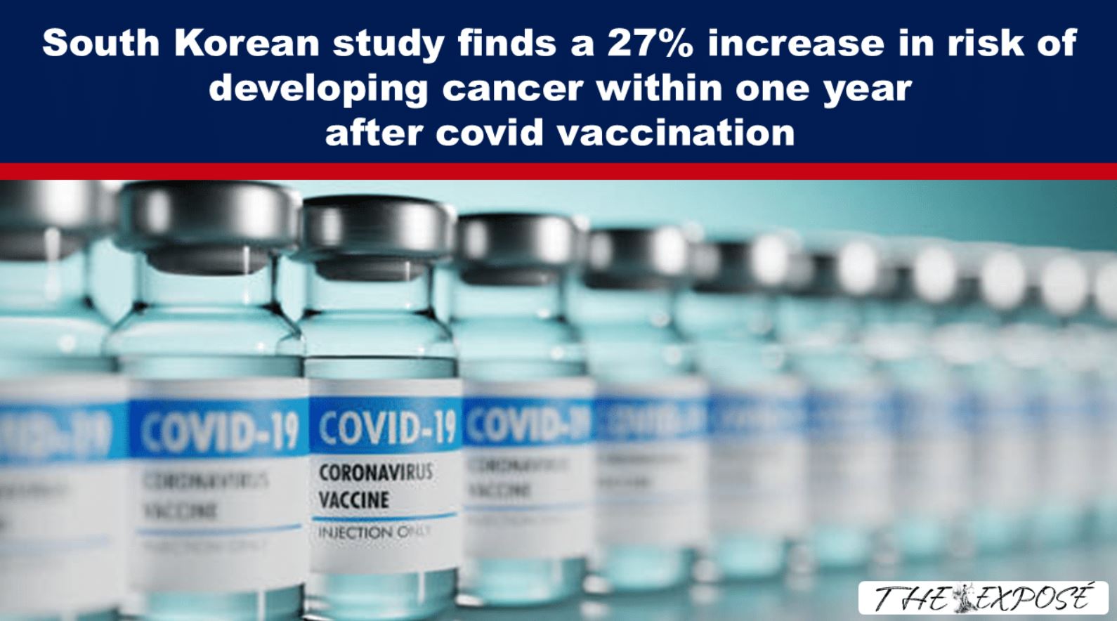 South Korean study finds a 27% increase in risk of developing cancer within one year after covid vaccination