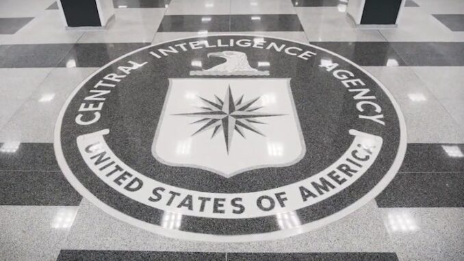 Leaked CIA Docs Reveal Deep State Conspired to Overthrow US Gov’t in 2020