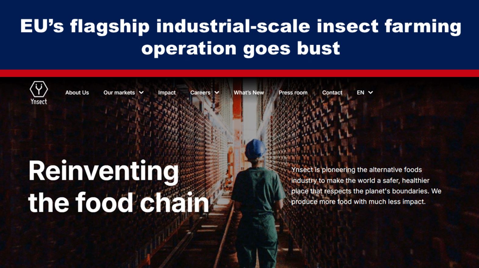 EU’s flagship industrial-scale insect farming operation goes bust