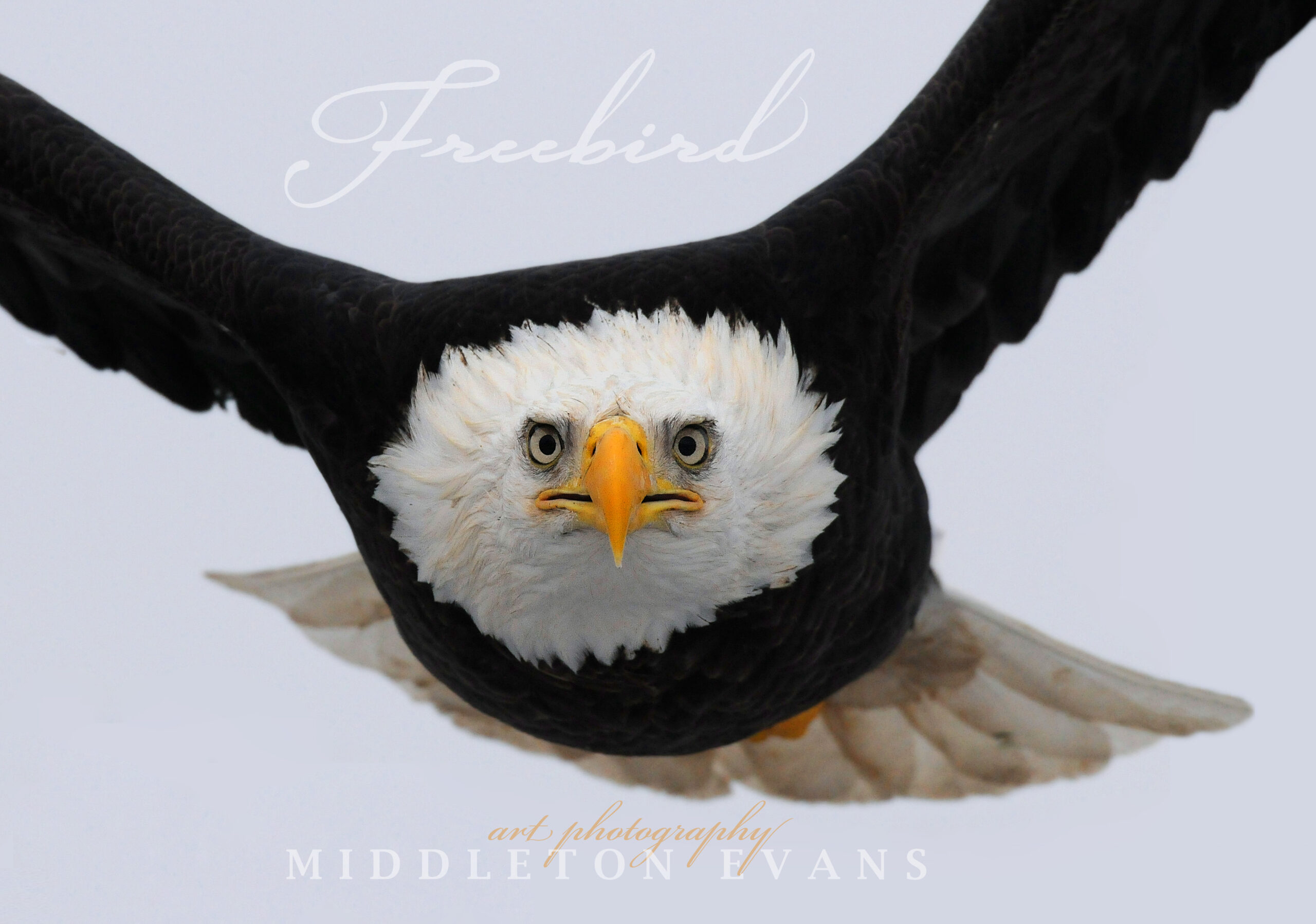 What Happened When One Prep School Alumnus Pushed Back against Covid Vaccine Mandates