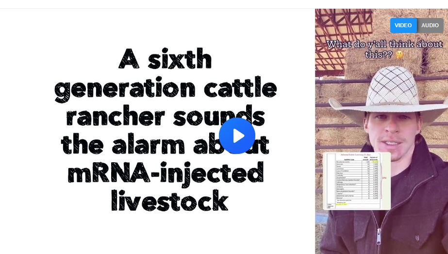 A sixth generation cattle rancher sounds the alarm about mRNA-injected livestock.