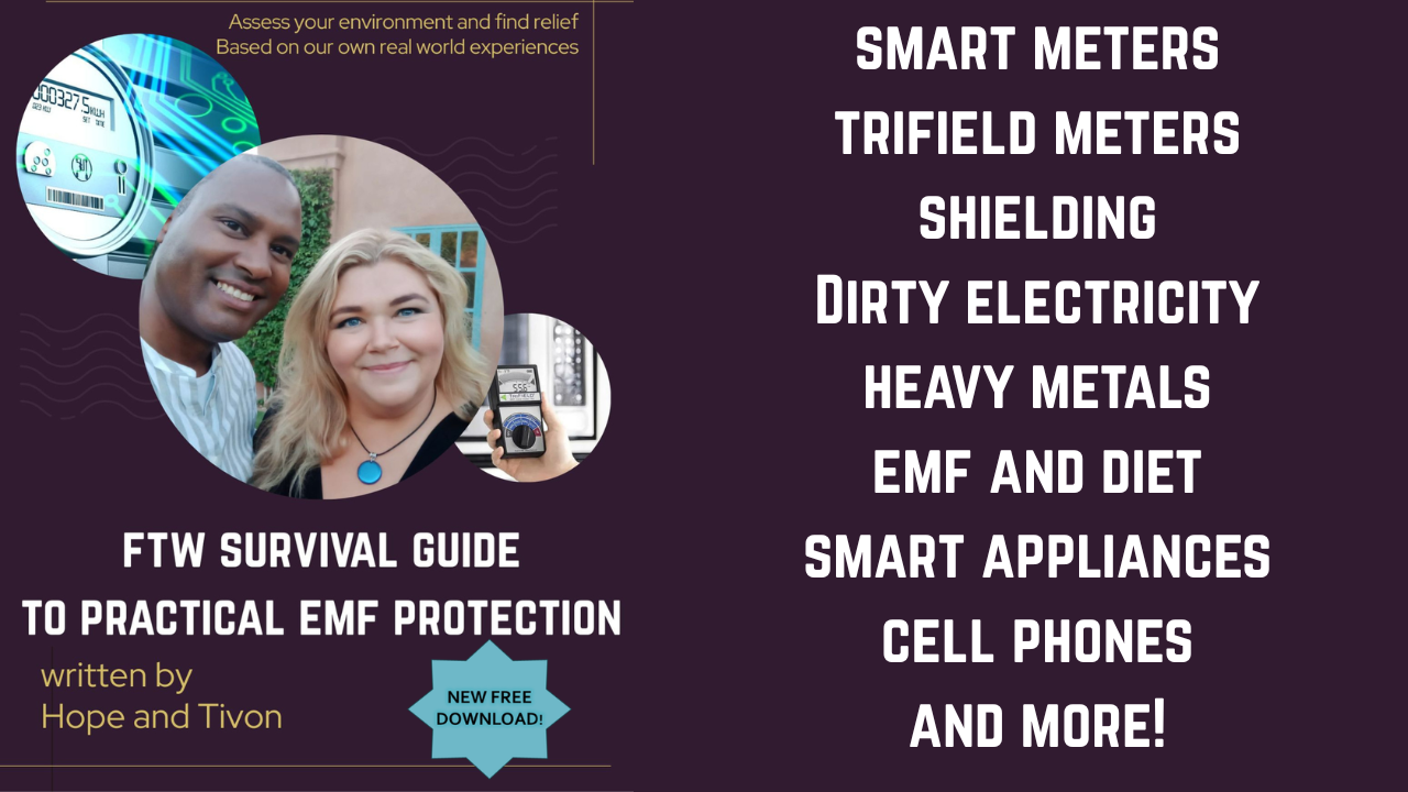 emf guidebook thumb with text