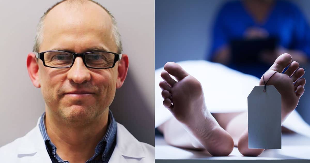 john-schloendorn-clone-human-brains