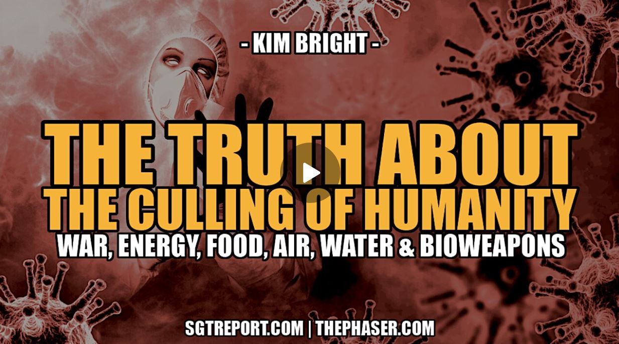 kim bright