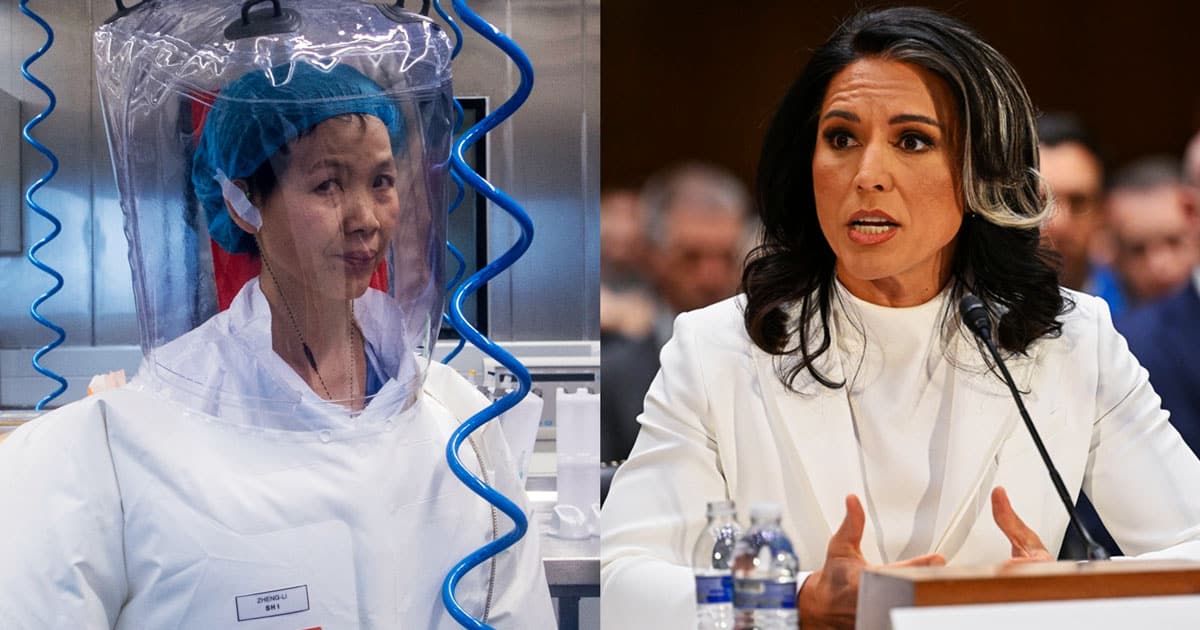 tulsi-gabbard-dni-foreign-biolabs