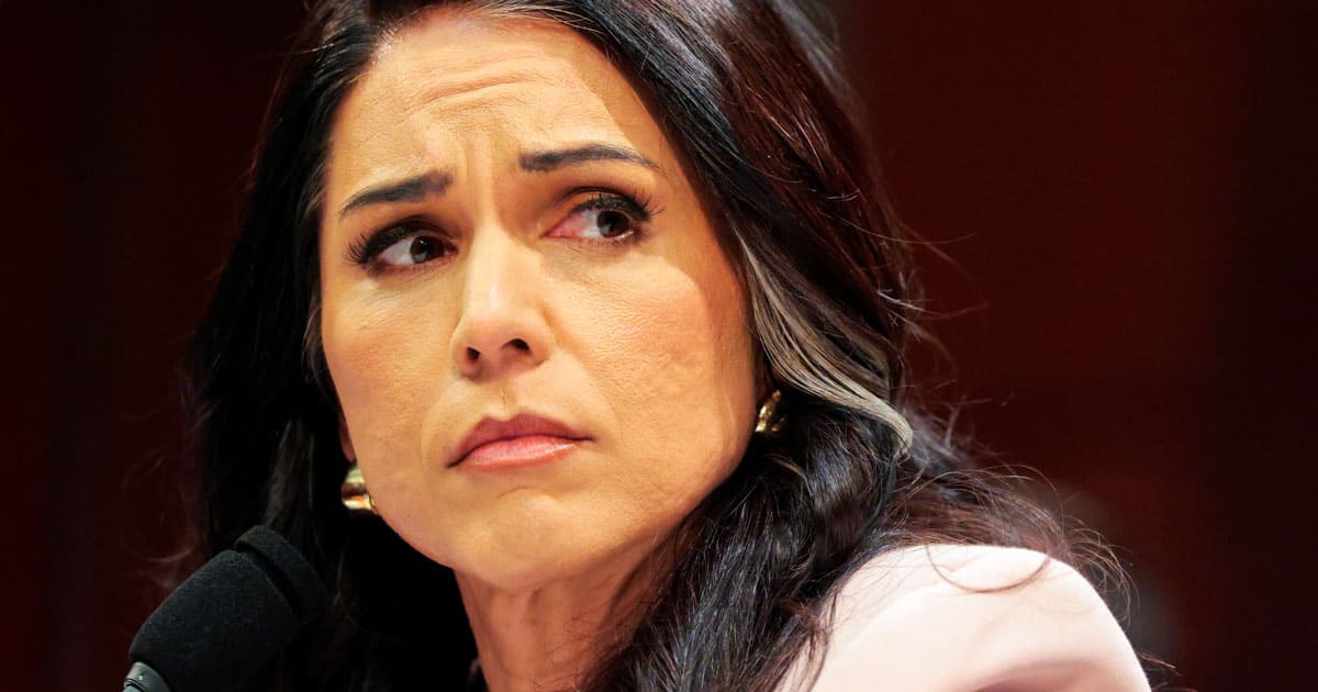tulsi-gabbard-dni-office-raided-mkultra-jfk-files-seized