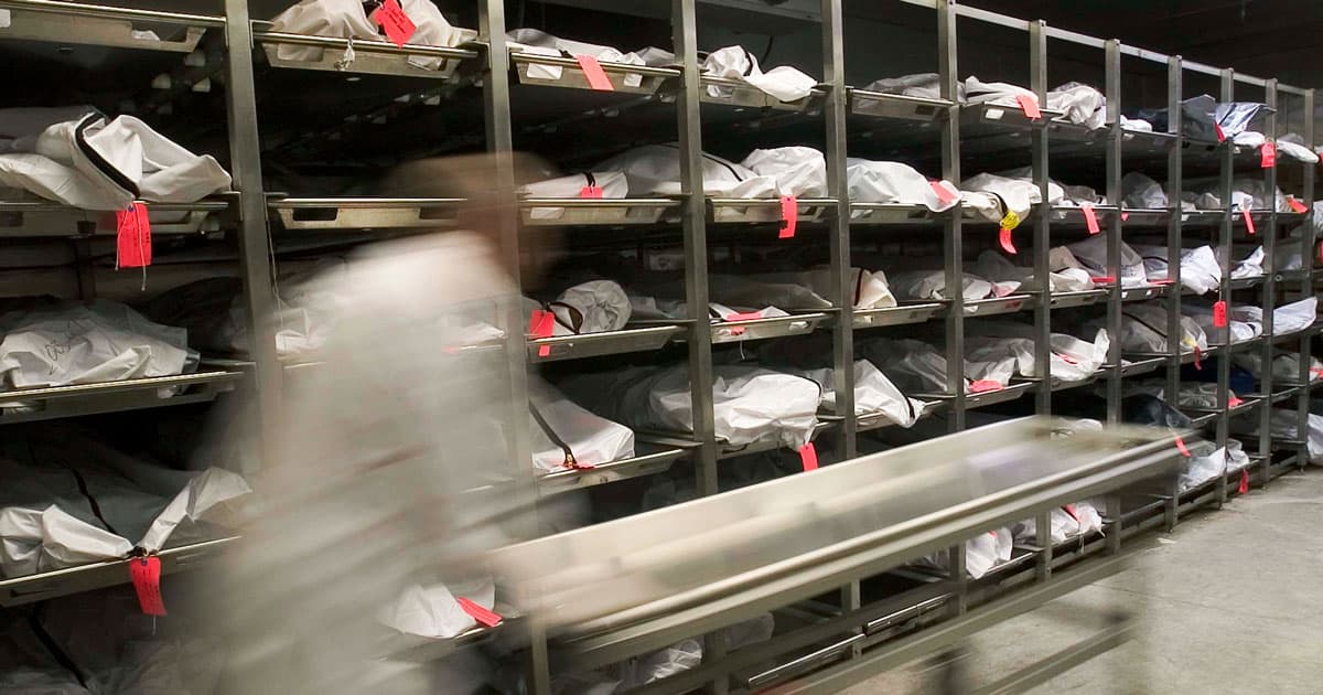 morgue-full-population-collapse-warning