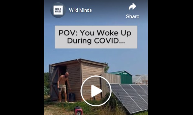 pov covid