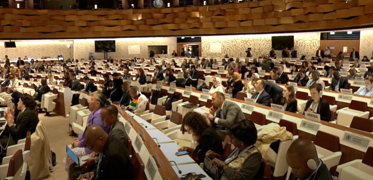 WHA-plenary-