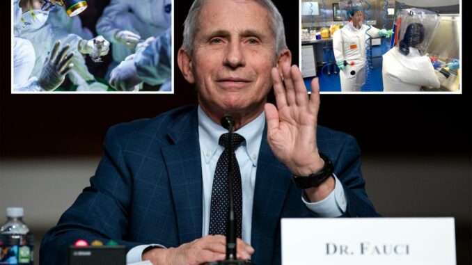 Fauci Spent $220M Funding ‘Nefarious’ Technique to Hide Lab Fingerprints on Engineered Bioweapons