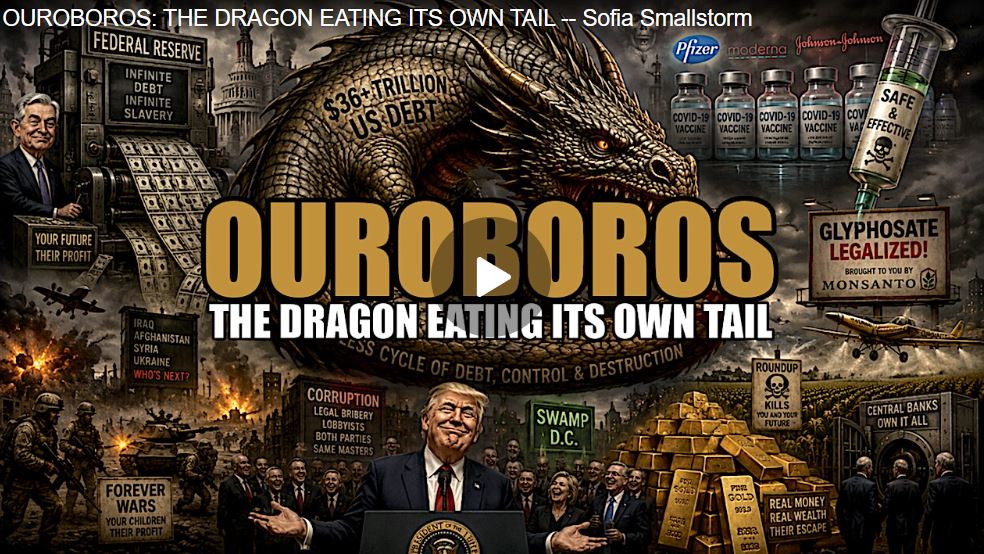 dragon tail