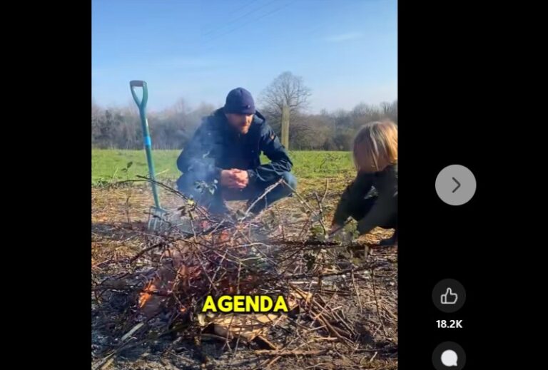 agenda