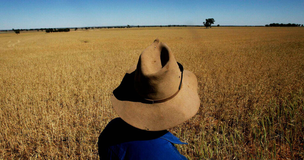 farmer-ai-crop-destroyed-farming