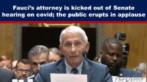 Fauci’s attorney is kicked out of Senate hearing on covid; the public erupts in applause
