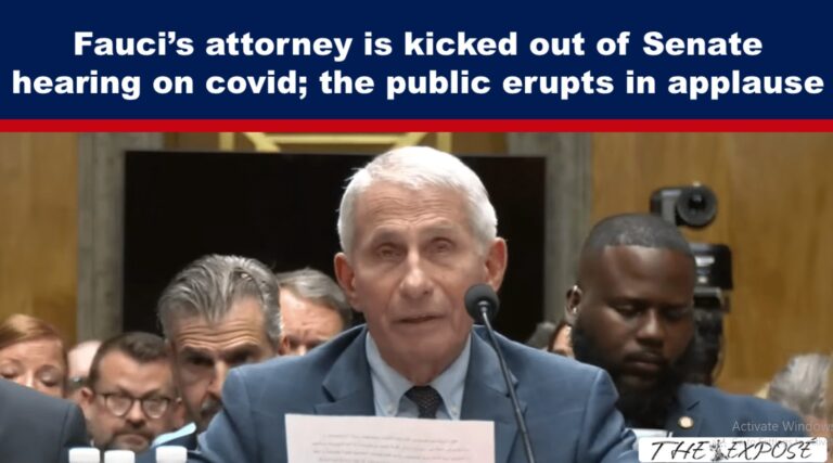 fauci attorney