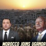 Morocco Seeks To Send Soldiers To Invade Gaza As Part Of Trump’s International Stabilisation Force