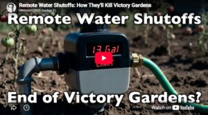 water shotoff
