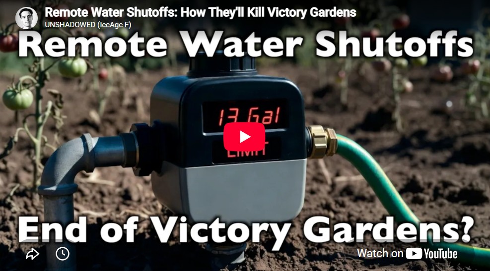 water shotoff