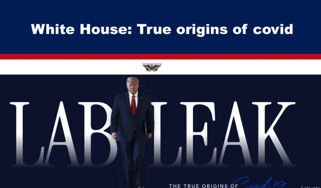 white house