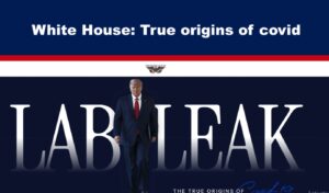 white house